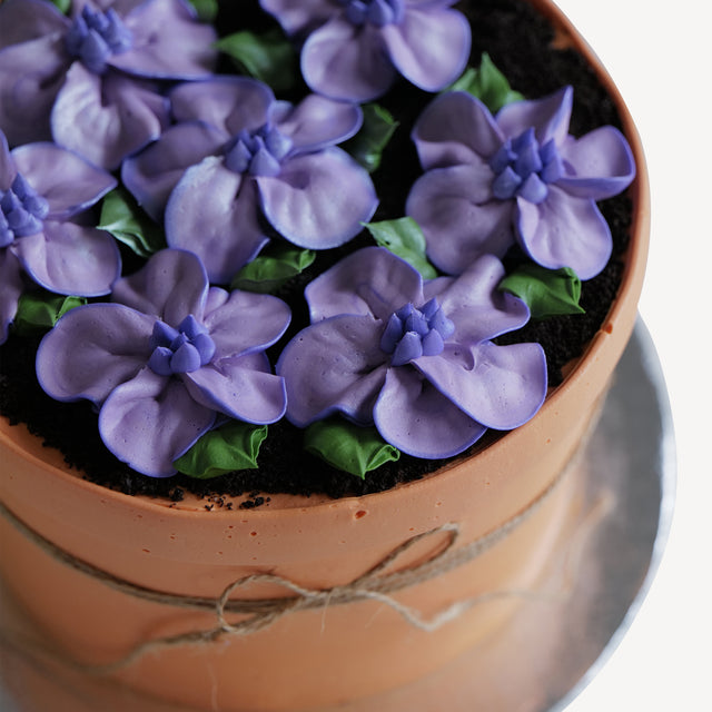 Online Cake  Order -  Flower Pot Cake #111Featured