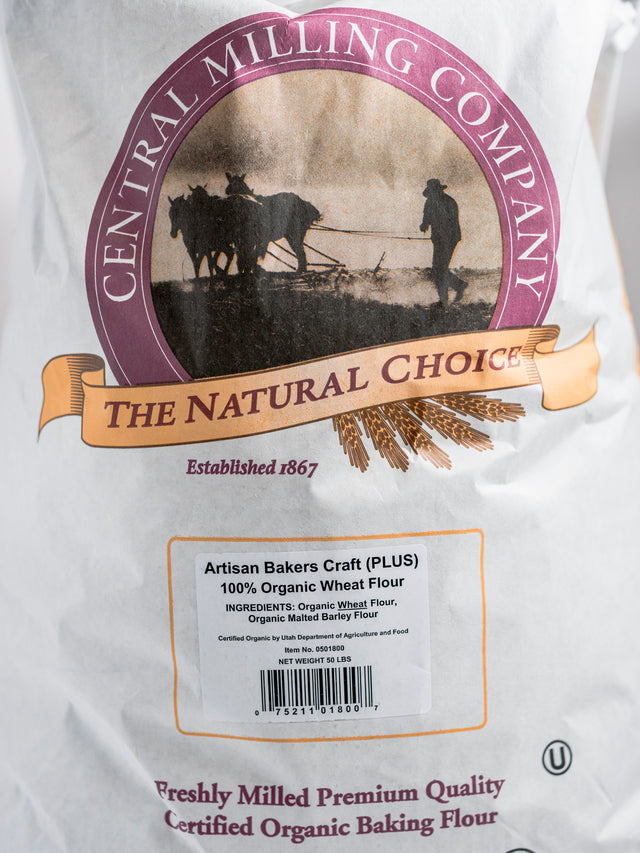 Cranberry Walnut Sourdough