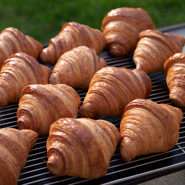 Online Party Tray Order - Mini Croissant Tray