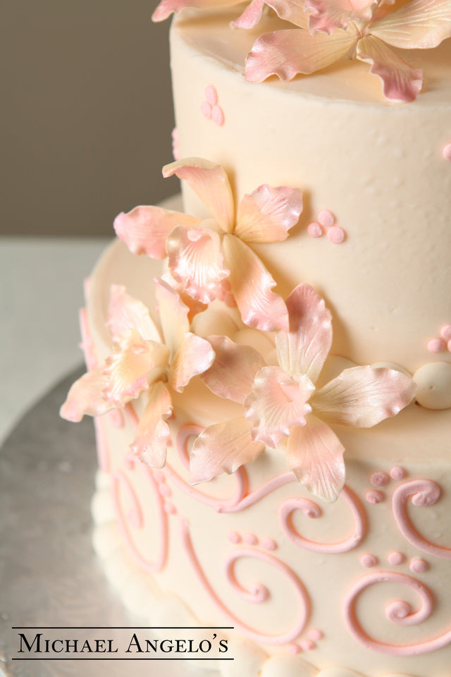 Light Pink & Ivory #64Classic