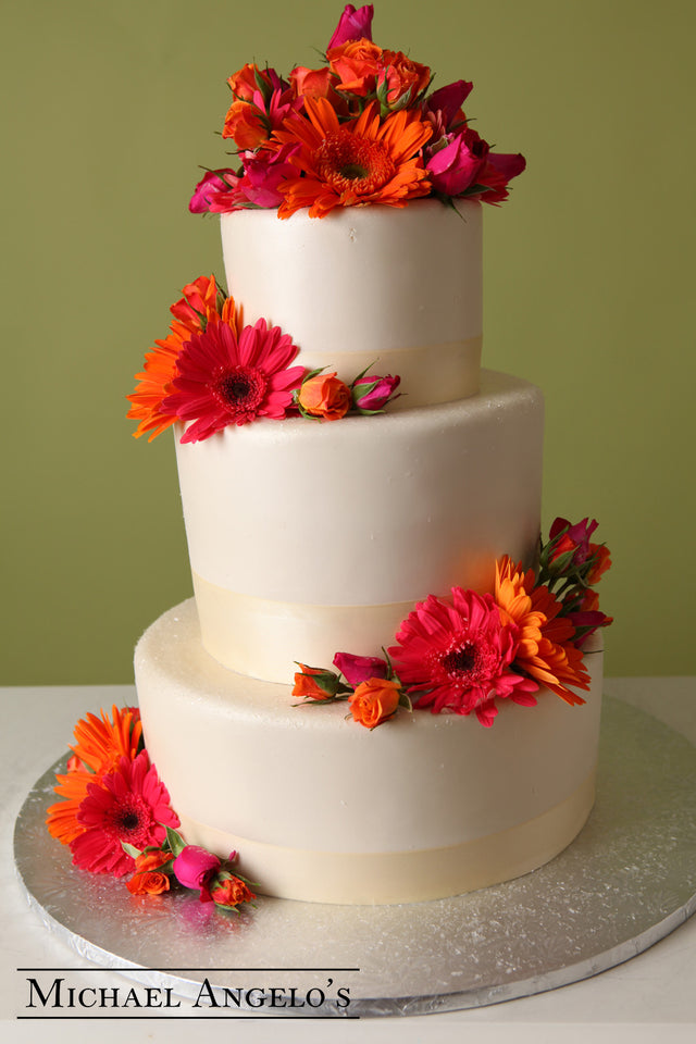 Gerber Daisy Beauty #15Modern