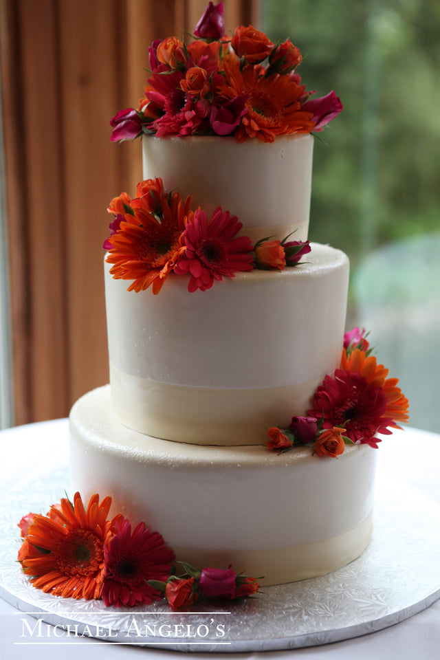 Gerber Daisy Beauty #15Modern