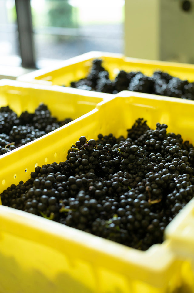 Source-Driven Wine Making