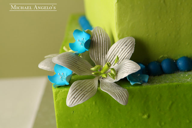 Green, Blue, & Orchids Tool #51Modern