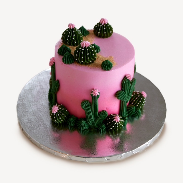 Online Cake Order - Cactus Cake #410Hobbies